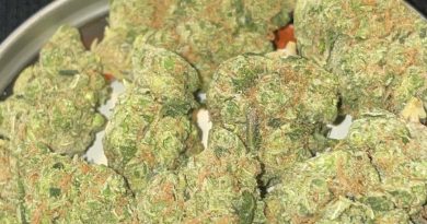 silky sour by mount burnin farms strain review by toptierterpsma