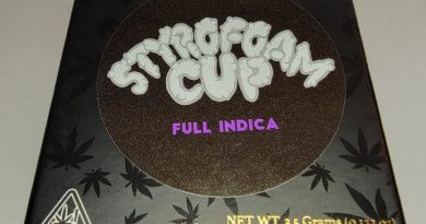 styrofoam cup by team elite genetics strain review by norcalcannabear 2