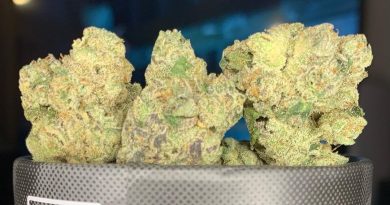 sugar berry scone by louis vuchron strain review by pnw_chronic
