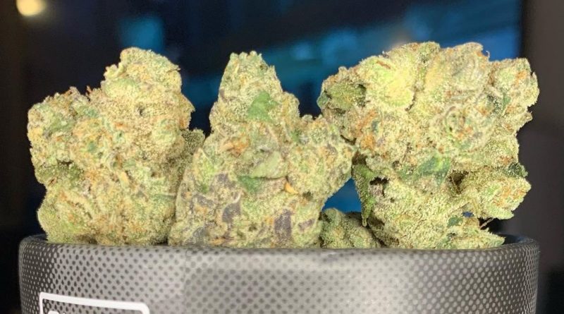 sugar berry scone by louis vuchron strain review by pnw_chronic