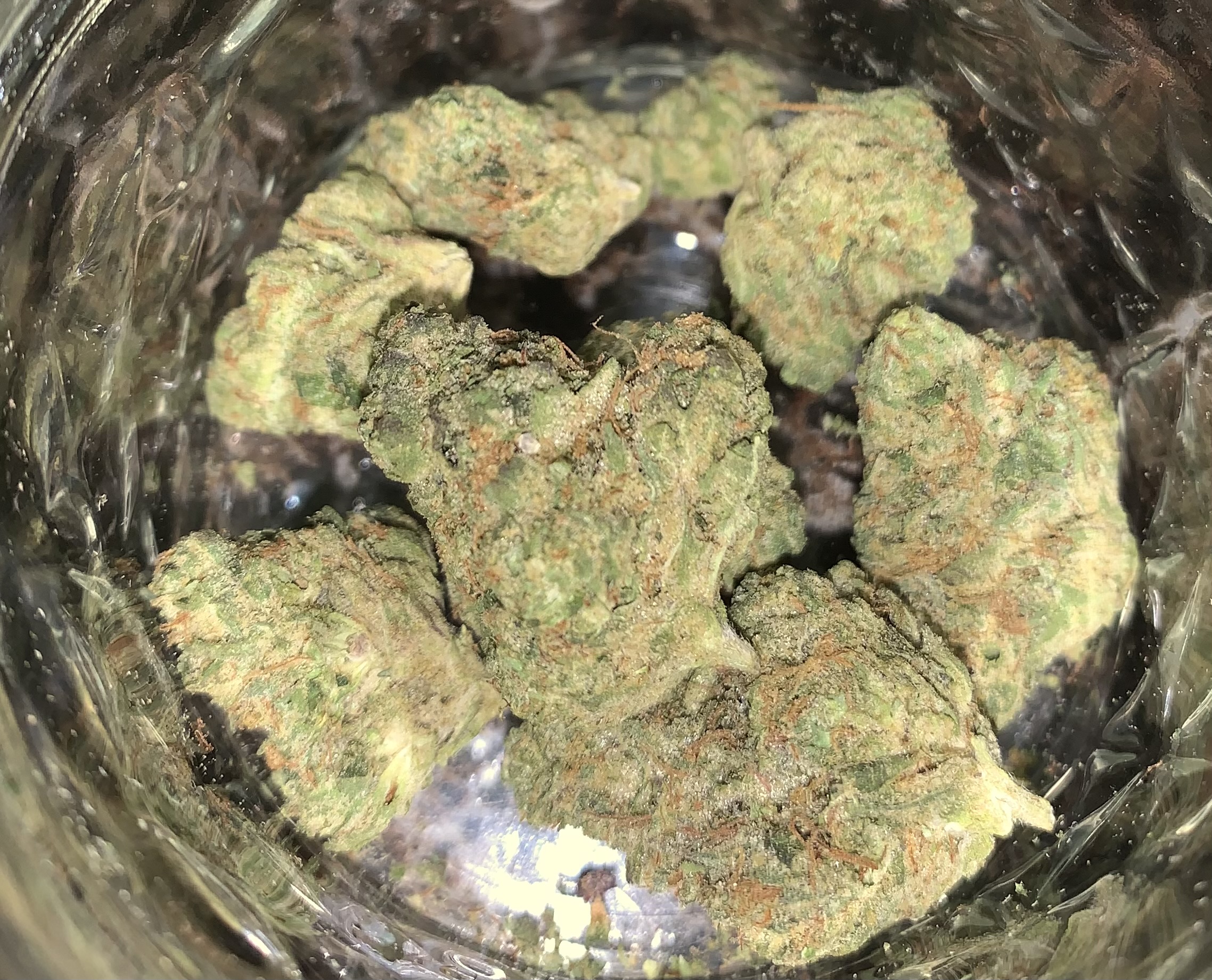 strain-review-gelato-from-pure-ohio-wellness-the-highest-critic