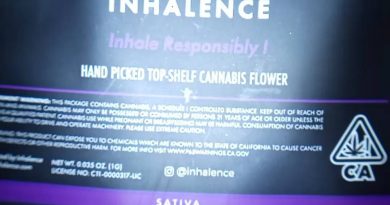 black jack by inhalence strain review by stoneybearreviews