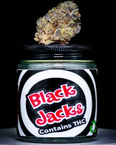 black jacks strain review by thebudstudio