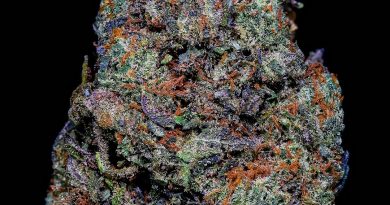 chemcake by white rose pharms strain review by thebudstudio 2