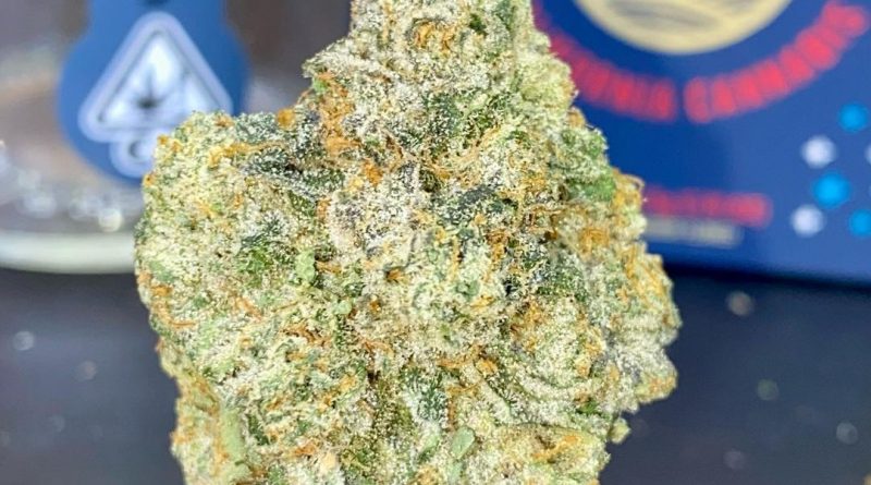 gelato 41 by fig farms strain review by cali_bud_reviews
