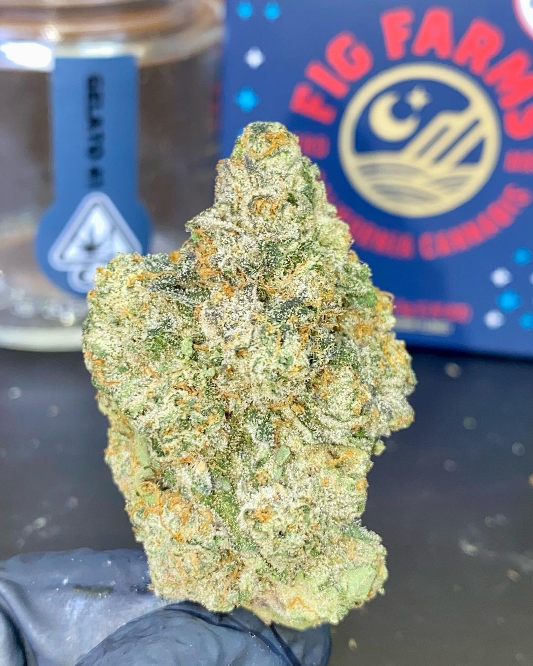 Strain Review: Gelato 41 by Fig Farms - The Highest Critic