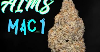 mac 1 by aims strain review by stoneybearreviews