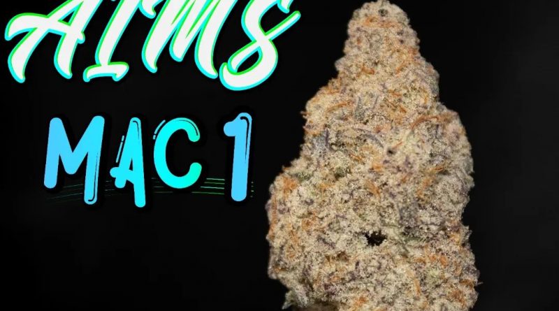 mac 1 by aims strain review by stoneybearreviews