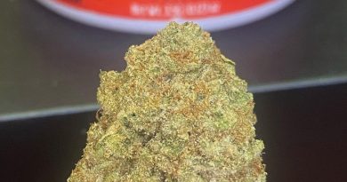 strawberry bananaz by willow creek reserve strain review by cali_bud_reviews