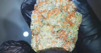 alien cookies by the reup strain review by stoneybearreviews