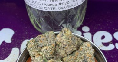 bacio gelato by highly cultivated cultivar review by pnw_chronic
