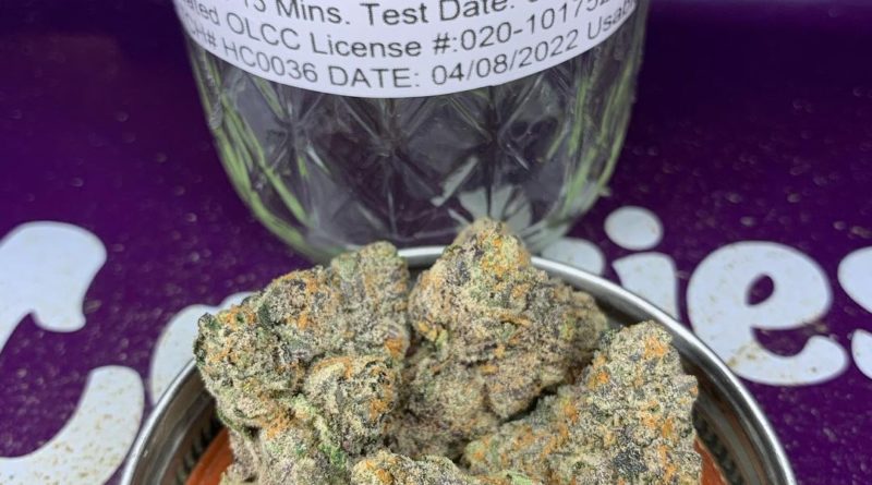 bacio gelato by highly cultivated cultivar review by pnw_chronic