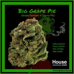 big grape pie by house weed strain review by norcalcannabear
