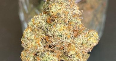 cherry fritter by 9 mile farm strain review by cali_bud_reviews 2