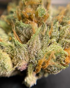 cherry fritter by 9 mile farm strain review by cali_bud_reviews
