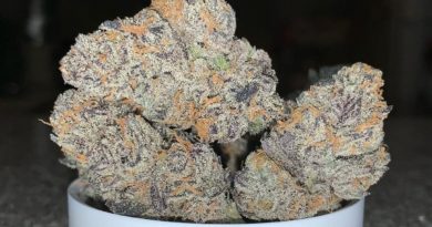 coco chanel by trichome farms strain review by pnw_chronic 2