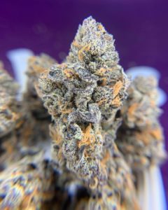 coco chanel by trichome farms strain review by pnw_chronic
