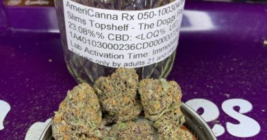 doggy bagg by slim's top shelf cannabiscultivar review by pnw_chronic 2