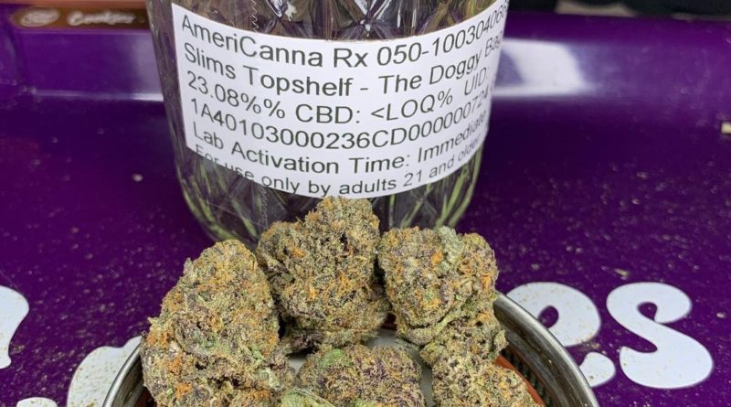 doggy bagg by slim's top shelf cannabiscultivar review by pnw_chronic 2