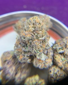 doggy bagg by slim's top shelf cannabiscultivar review by pnw_chronic