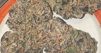 grape gas from terpz n hunnitz strain review by toptierterpsma 2