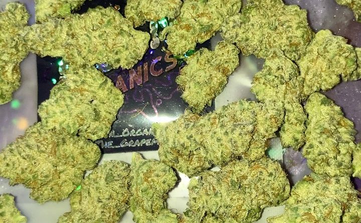 grape god by the grapeman strain review by sjweedreview