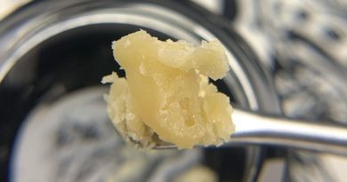 honey cakes hash rosin by archive portland dab review by pnw_chronic 2