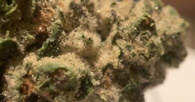 mac 1 by klutch cannabis