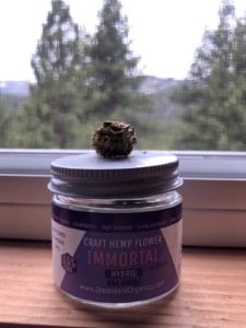 immortal by dreamland organics cultivar review by caleb chen