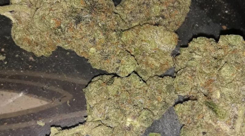 jealousy by the gas lady cultivar review by sjweedreview
