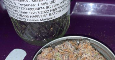 mendo ultraviolet by high noon cultivation cultivar review by pnw_chronic