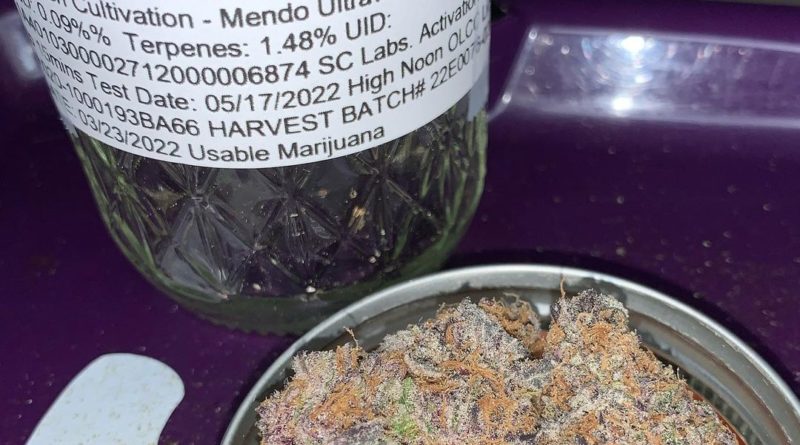 mendo ultraviolet by high noon cultivation cultivar review by pnw_chronic