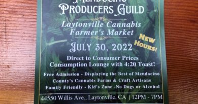 mendocino producers guild laytonville cannabis farmer's market