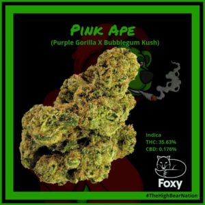 pink ape by foxy strain review by norcalcannabear