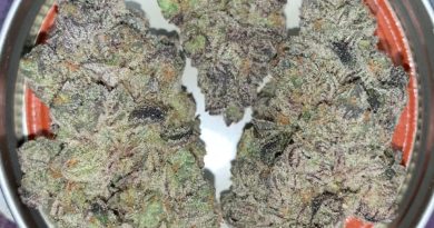 runtz x horchata by eastwood gardens strain review by pnw_chronic