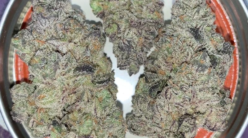 runtz x horchata by eastwood gardens strain review by pnw_chronic