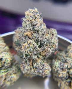 sunset sherbert by resin ranchers strian review by pnw_chronic 2