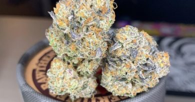 violet fog by trichome farms strain review by pnw_chronic 2