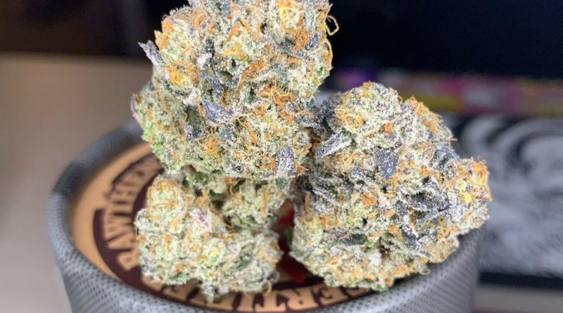 violet fog by trichome farms strain review by pnw_chronic 2