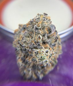 violet fog by trichome farms strain review by pnw_chronic