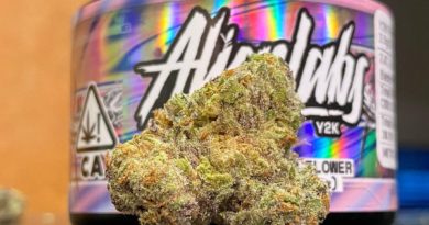 y2k by alien labs strain review by cali_bud_reviews