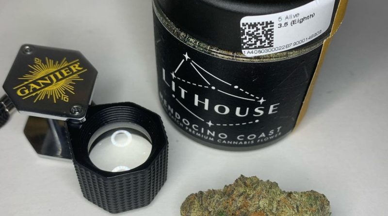 5 alive by lithouse strain review by justin_the_ganjier 2