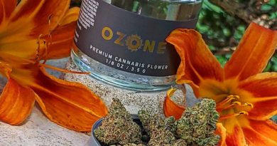 animal cake by ozone strain review by theweedadvocate