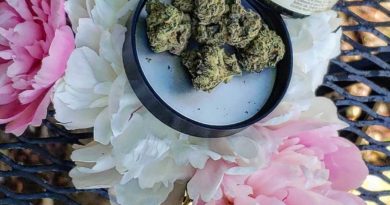 animal mints by seed and strain strain review by theweedadvocate