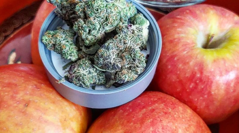 apple fritter by ozone strain review by theweedadvocate
