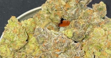 apples n bananas by pleasant effects cultivar review by toptierterpsma 2