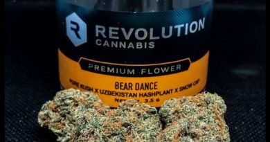 bear dance by revolution cannabis strain review by illinois_cannabis_reviews