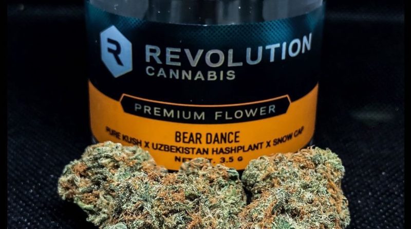 bear dance by revolution cannabis strain review by illinois_cannabis_reviews