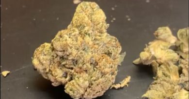 caribbean cookies by outco strain review by cali_bud_reviews