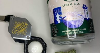 cereal milk by cannabiotix strain review by justin_the_ganjier